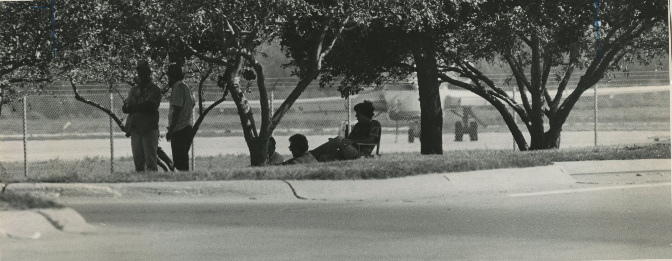 1983heatwave003